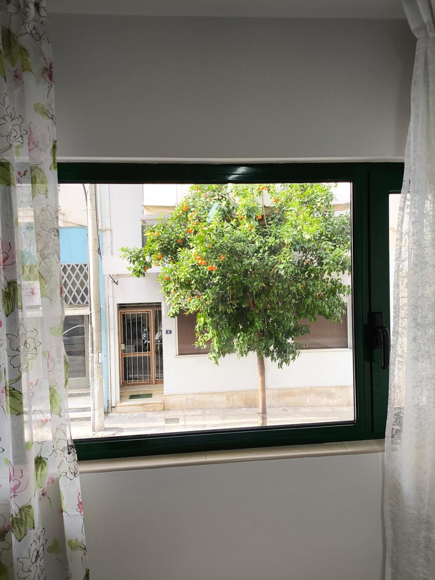Green Home Atene Esterno foto